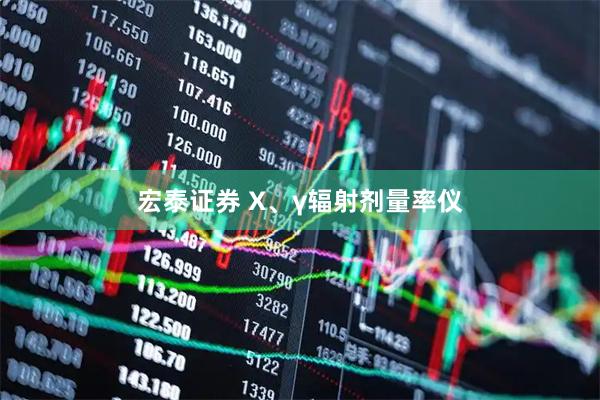 宏泰证券 X、γ辐射剂量率仪