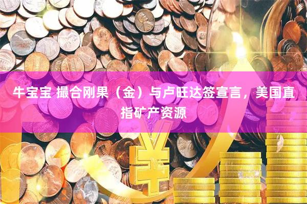 牛宝宝 撮合刚果（金）与卢旺达签宣言，美国直指矿产资源