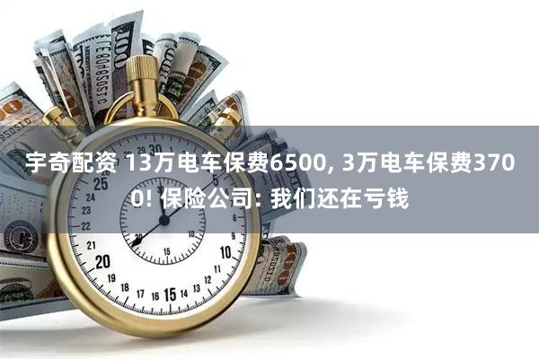 宇奇配资 13万电车保费6500, 3万电车保费3700! 保险公司: 我们还在亏钱