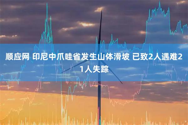 顺应网 印尼中爪哇省发生山体滑坡 已致2人遇难21人失踪