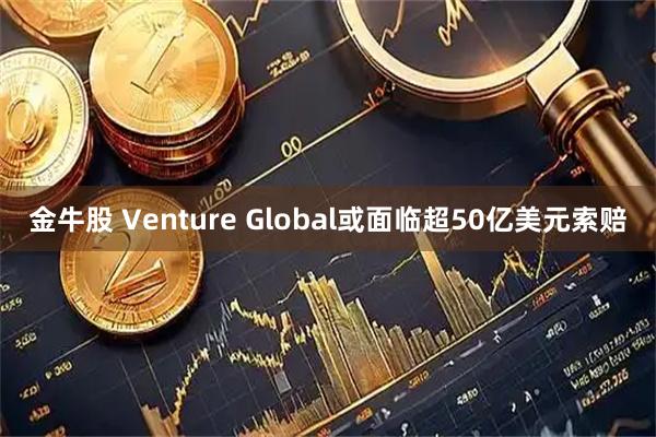 金牛股 Venture Global或面临超50亿美元索赔