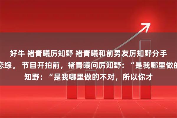 好牛 褚青曦厉知野 褚青曦和前男友厉知野分手后，上了同一档恋综。 节目开拍前，褚青曦问厉知野：“是我哪里做的不对，所以你才
