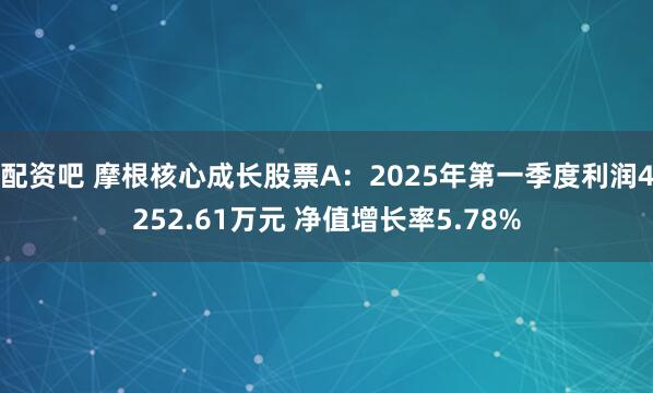 配资吧 摩根核心成长股票A：2025年第一季度利润4252.61万元 净值增长率5.78%